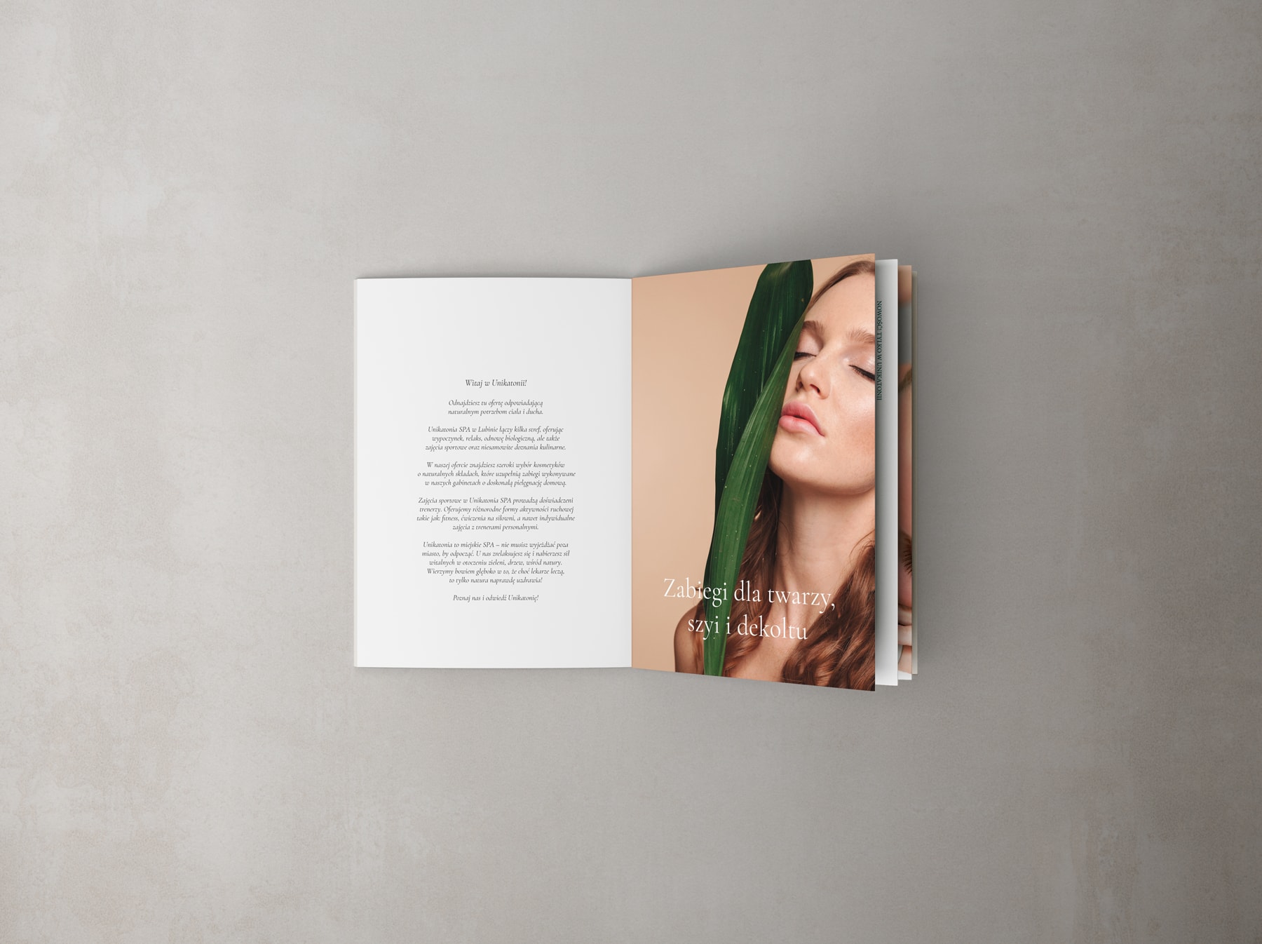 website design for a SPA